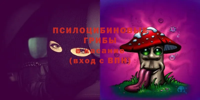 Псилоцибиновые грибы Magic Shrooms  что такое наркотик  Кумертау 